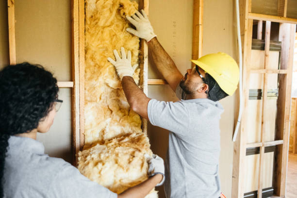 Best Spray Foam Insulation  in Pine Valley, CA