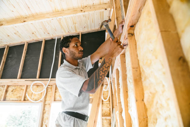 Best Spray Foam Insulation  in Pine Valley, CA